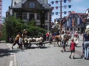 Ausflug 2008
