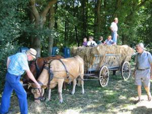 Beselicher Markt 2003